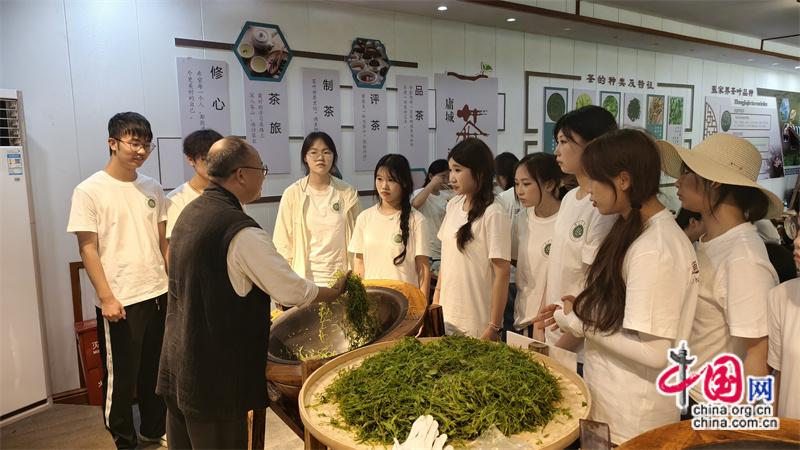 张家界学院打造茶文化实景实践课堂(组图)