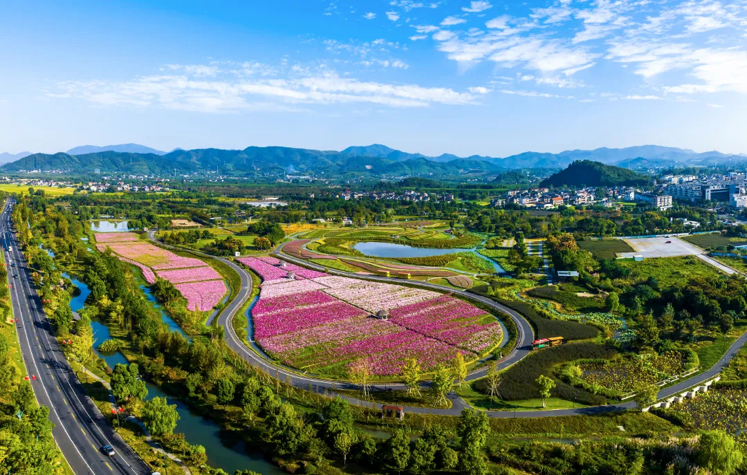 浙江乡村拼出新图景