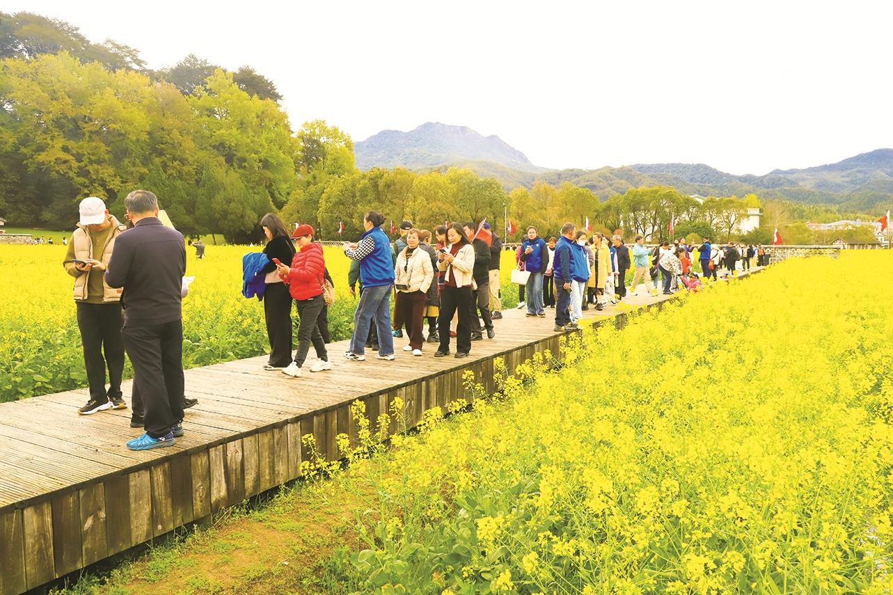 “赏花经济”为福建乡村“增香添彩”